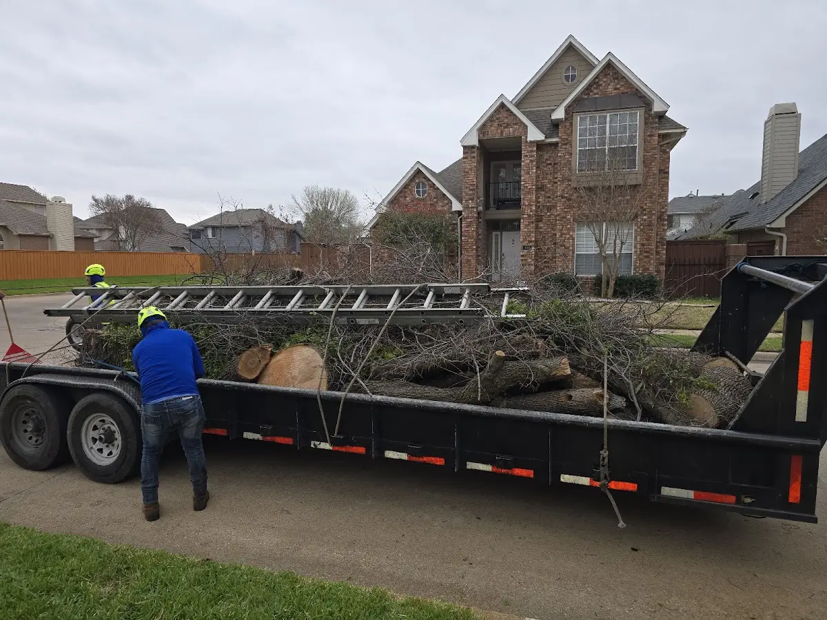 Expert Tree Removal with proper safety equipment in Kinsale